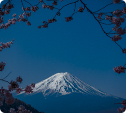 IMG (12)